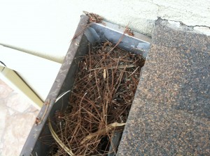 Gutter Cleaning Services