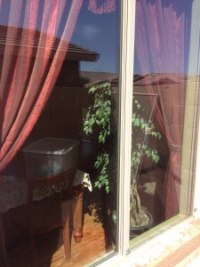Window cleaning and window washing