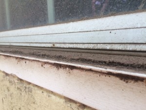 exterior window cleaning services