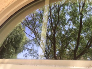 Window Cleaning in Phoenix and Queen Creek