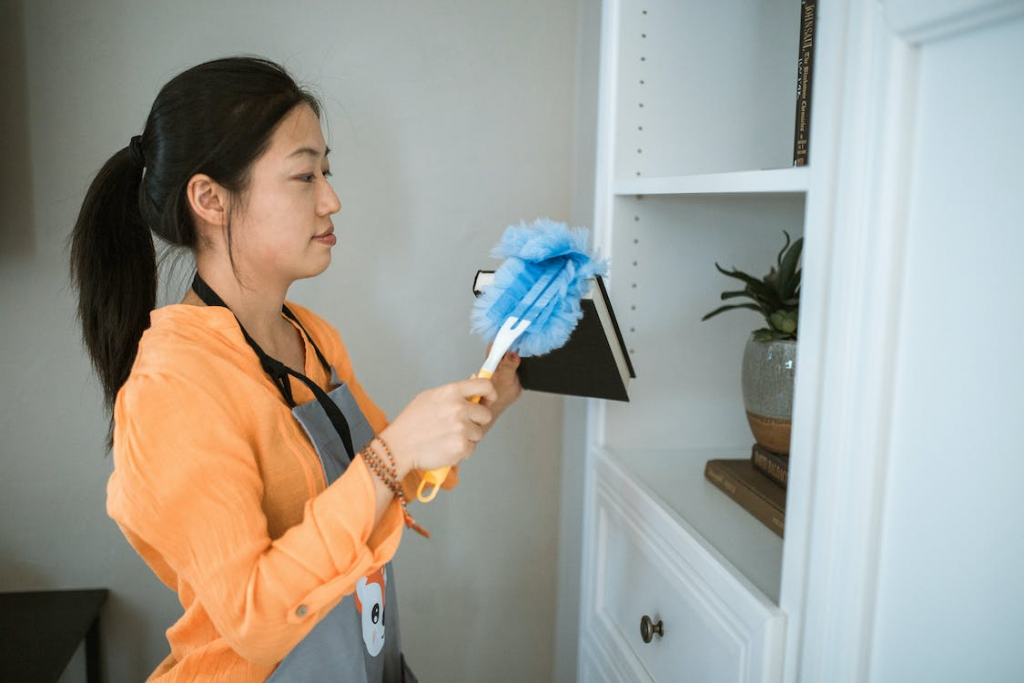 professional window cleaner