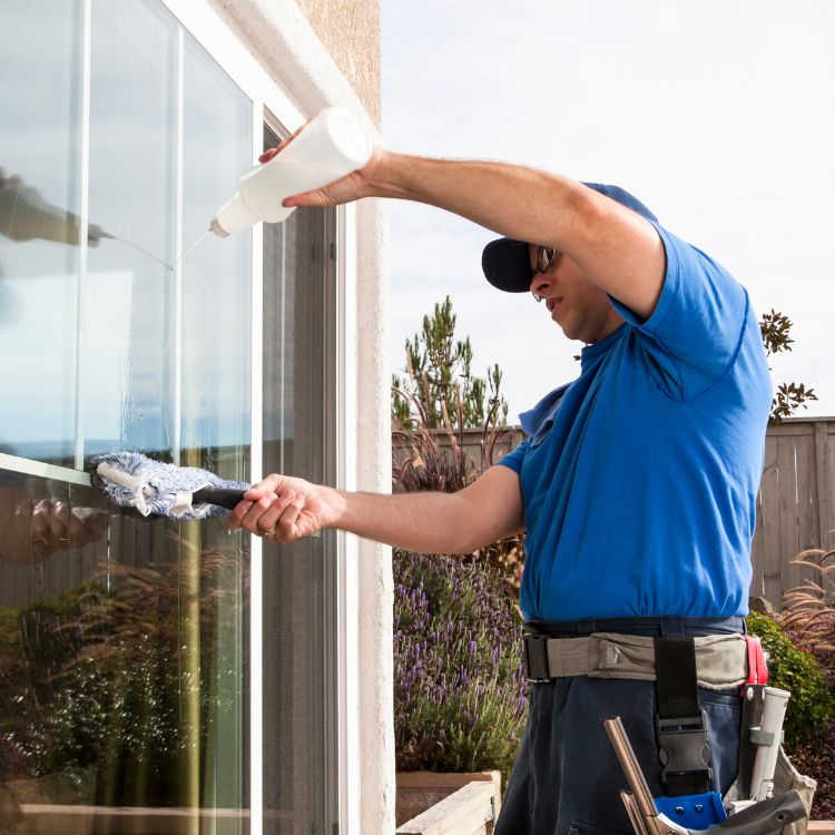 professional window washers