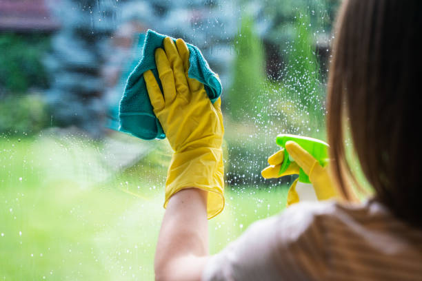 It's best to clean your windows early